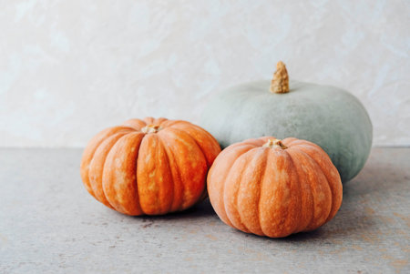 Autumn background with colorful pumpkins. Copy space for text.