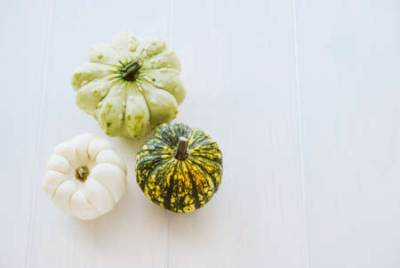 Colorful mini pumpkins on white background, from above. Fall background. Copy space. Halloween or Thanksgiving celebration.の写真素材