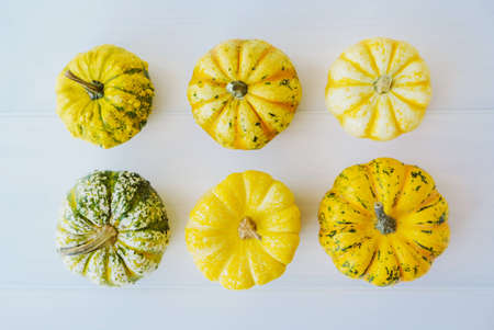Colorful mini pumpkins on white background, top view, flat lay. Fall background. Halloween or Thanksgiving celebration.の写真素材