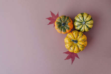 Colorful mini pumpkins on light brown background, top view, flat lay. Fall background. Copy space. Halloween or Thanksgiving celebration.の写真素材