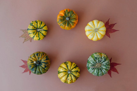 Colorful mini pumpkins on light brown background, top view, flat lay. Fall background. Copy space. Halloween or Thanksgiving celebration.の写真素材