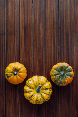 Colorful mini pumpkins on dark wooden background, top view, flat lay. Fall background. Halloween or Thanksgiving celebration.の写真素材