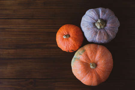 Colorful pumpkins on dark wooden rustic background, top view. Copy space for text. Halloween or Thanksgiving holiday preparations.の写真素材