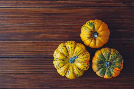 Colorful mini pumpkins on dark wooden background, top view, flat lay. Fall background. Halloween or Thanksgiving celebration.の写真素材