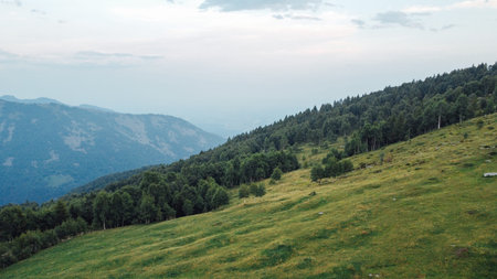 Aerial view of green fields, forest and mountain peaks.