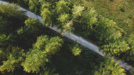 Aerial view of green fields and coniferous forest.の写真素材