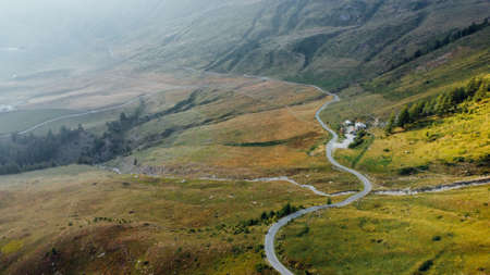 Aerial view of green fields and coniferous forest.の写真素材