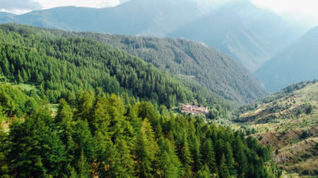 Aerial view of green fields and coniferous forest.の写真素材