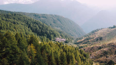 Aerial view of green fields and coniferous forest.の写真素材