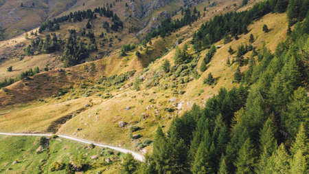 Aerial view of green fields and coniferous forest.の写真素材