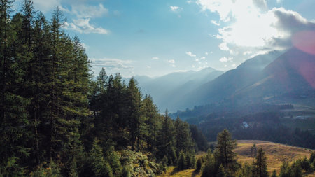 Aerial view of green fields and coniferous forest.