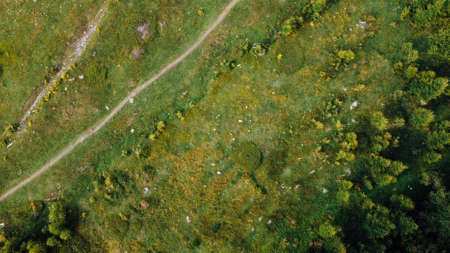 Aerial view of narrow road among green summer field in the mountains.の写真素材