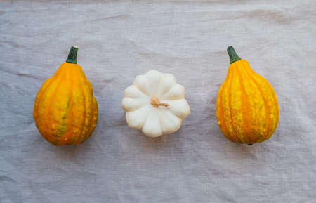 Colorful mini pumpkins on neutral background, top view.の写真素材