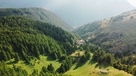 Aerial view of green fields and coniferous forest.の写真素材