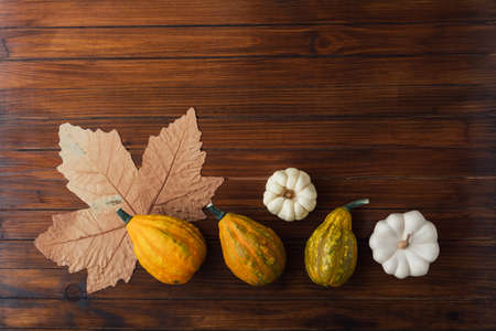 Colorful mini pumpkins, gourds and dry fall leaf on wooden background.の写真素材