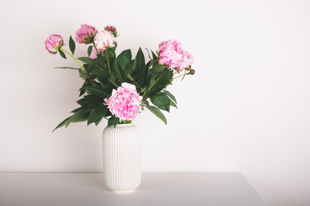 Beautiful bouquet of pink peony flowers in full bloom in vase against white background. Copy space for text.の写真素材
