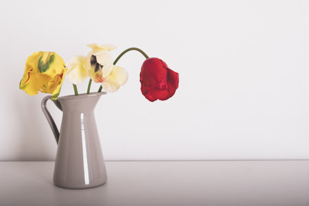 Beautiful bunch of multicolored terry tulip flowers in full bloom in vase against white background. Minimalist spring still life. Copy space for text.の写真素材