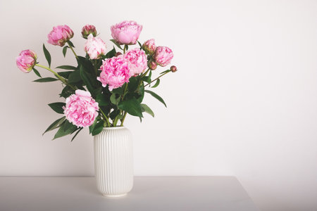 Beautiful bouquet of pink peony flowers in full bloom in vase against white background. Copy space for text.の写真素材
