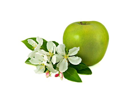 One fresh green apple with bunch of blossoming apple-tree flowers and apple-tree leaves isolated on white background の写真素材