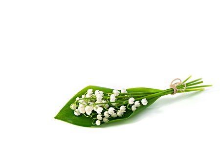 Small bunch of white flowers of Lily of the Valley with a green leaf tied up by twine, isolated on white background の写真素材