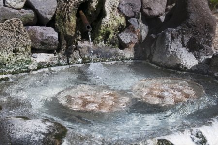 Hot natural underground thermal water is used to boil chicken eggs in some volcanic activity area の写真素材