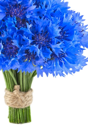 Bunch of flower, wild vivid big blue cornflower and small green bud isolated  Symbol of romantic and tender の写真素材