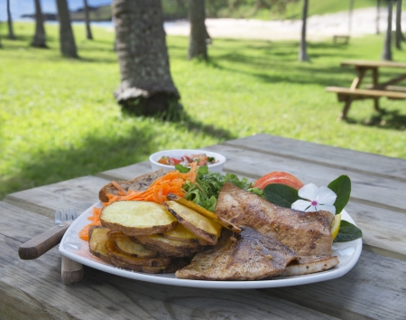 Healthy bbq lunch under shadow of palms on the beach の写真素材