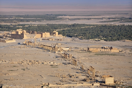 Remains of ancient city of Palmiraの写真素材