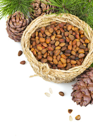 Pine cones and nuts, isolated on white backgroundの写真素材
