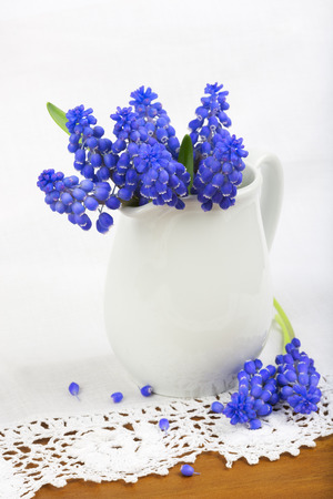Small bunch of grape hyacinths in the white ceramic vase  Rustic style の写真素材