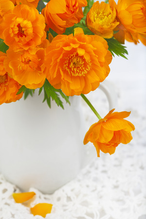 Orange Globeflower in a white vaseの写真素材