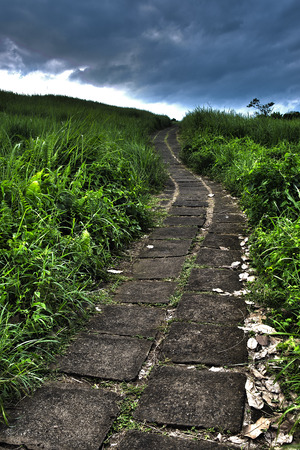 Meadow with stone pathway before the storm, processed in HDRの写真素材