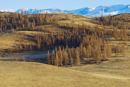 Altai highlandの写真素材