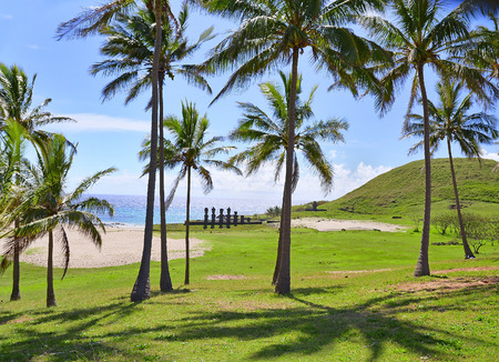 Anakena beach with Moai statues, Easter island, Chileの写真素材