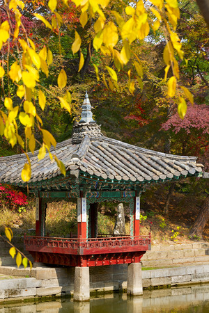 Pond at the Huwon park, Secret Garden, Changdeokgung palace, Seoulの写真素材