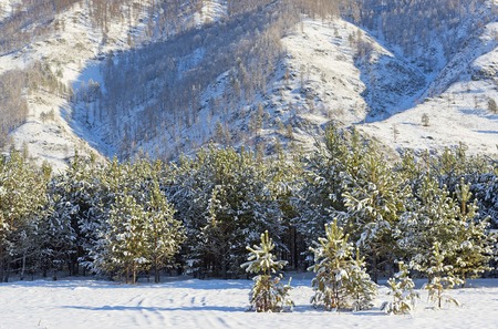 Winter landscape, Siberiaの写真素材