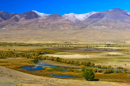Chuya steppe and Altai Mountainsの写真素材