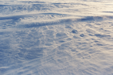 Winter blizzard with strong blowing wind and cold temperature at eveningの写真素材