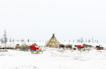 Camp of nomadic tribe in the polar tundra at a frosty day, chum, sled and other stuffの写真素材