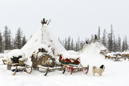 Camp of nomadic tribe in the polar tundra at a frosty day, chum, sled and other stuffの写真素材