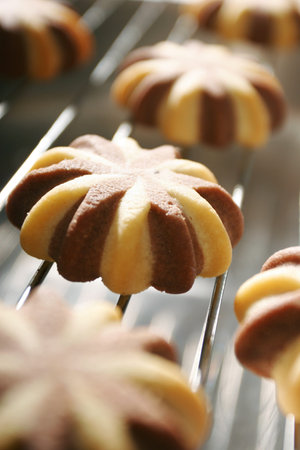 star- shaped cookies, focus on top of middle cookie