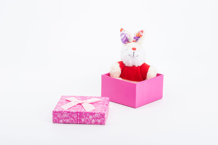 Stuffed rabbit and pink gift box on white backgroundの写真素材
