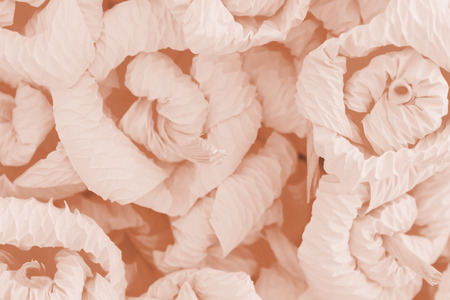 Pastel flowers paper background pattern style, flowers made from paper.の写真素材