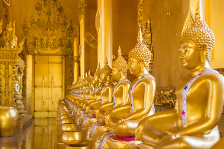 Golden Buddha stunning set a row.