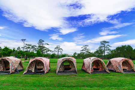 Dome tents on green lawn in camping site.の写真素材