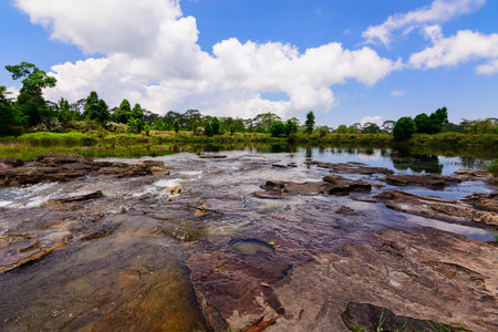 Lake in the forest blue sky background, in rainy season.の写真素材