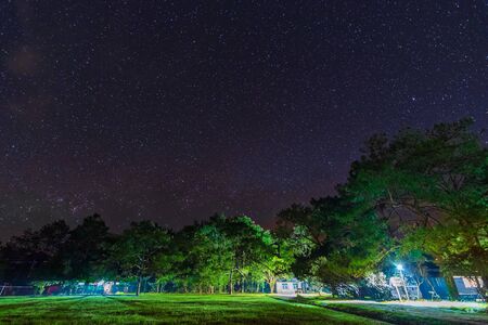 Beautiful sky at night with stars full of stars over the forest with light.の写真素材
