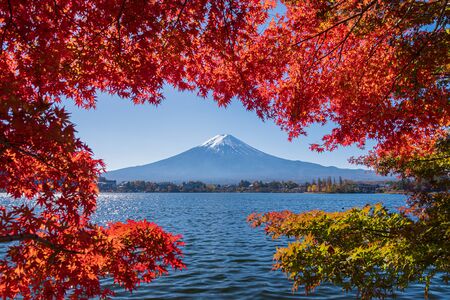 Landscape colorful autumn season and mountain Fuji at lake Kawaguchiko in day time. Frame composition.の写真素材