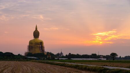 Back view, Big golden buddha in sunrise or sunset time. at Wat Muang in Ang Thong, Thailand.の写真素材
