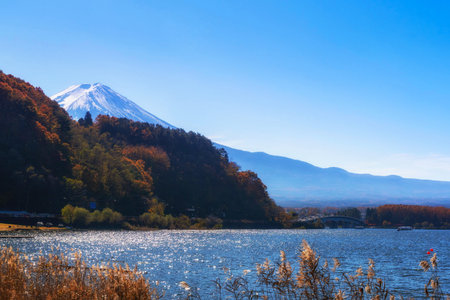 Landscape colorful autumn season at lake Kawaguchiko in daytime on Mt.fuji background.